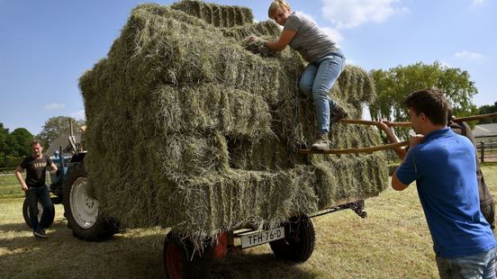 Dit is er dit weekend te doen in Gelderland