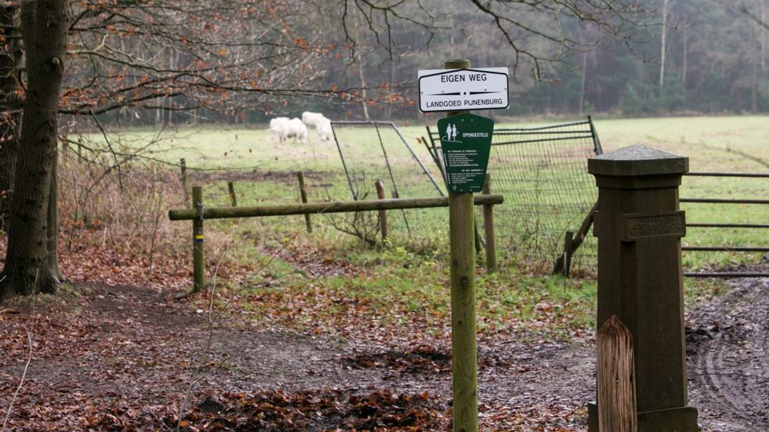 Het theehuis moet op landgoed Pijnenburg komen.