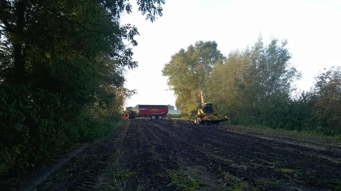 Drentse boeren zijn koploper op het gebied van uitbreiden en opvolger (Rechten: archief RTV Drenthe)