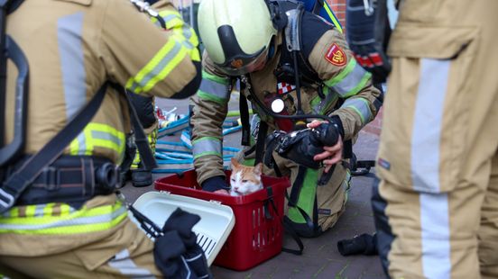 Brandweer geeft geredde kat zuurstof na woningbrand Home
