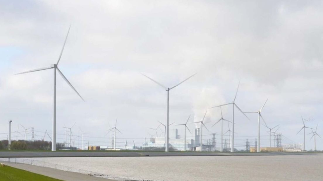 Hoe veel vogels redt een zwarte wiek op een windmolen in Eemshaven