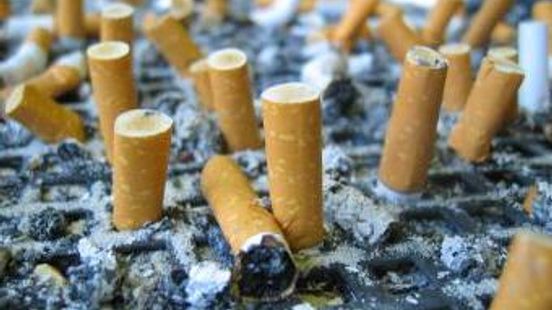 Peukenplaag opruimen kost miljoenen: gemeenten willen dat tabaksindustrie betaalt Home