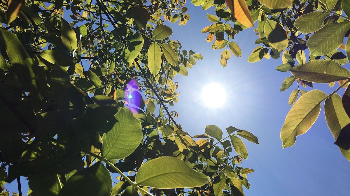 Heetste 13 augustus ooit gemeten, morgen weer kans op record