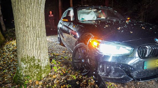 Automobilist raakt ree • botsing op A30. Automobilist raakt ree • botsing op A30.