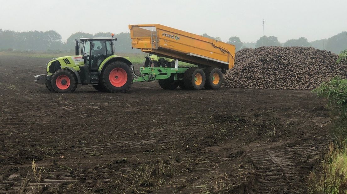 Boeren willen meer waardering voor wat ze doen en meer vrijheid om te kunnen produceren (Rechten: RTV Drenthe/Petra Wijnsema)