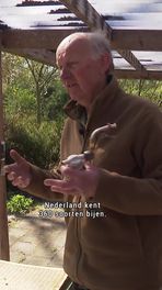 Hoge wintersterfte honingbijen