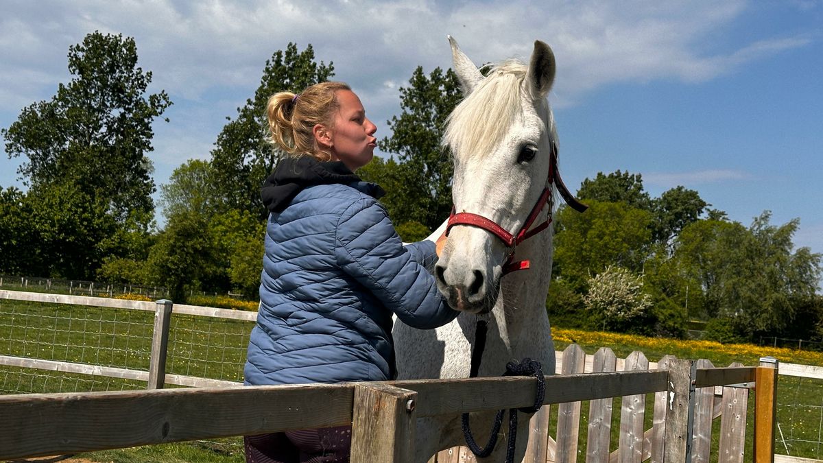 Paardoes krijgt bijval van gemeenteraad: 'Het geeft de wijk hart en ziel'