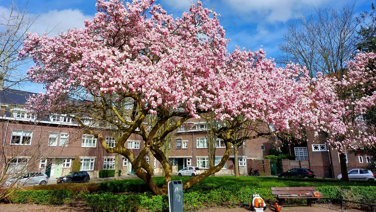 Limburg Kiekt: Afferden, Nunhem, Landgraaf en...