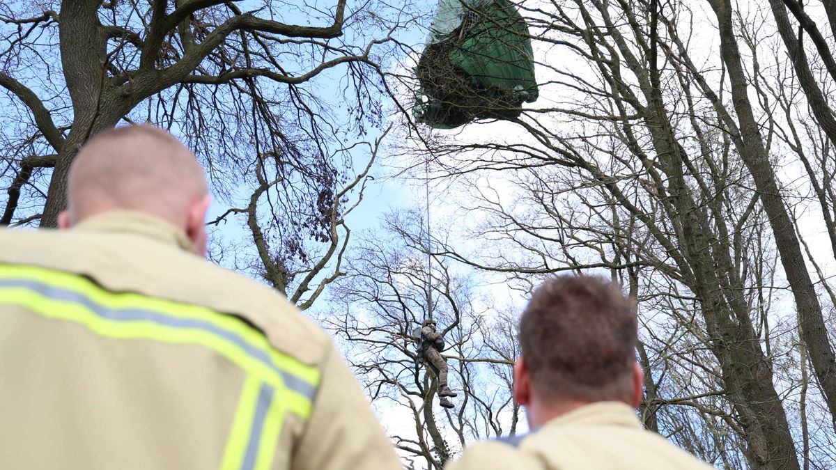 Parachutist vast in boom bij herdenking Spier