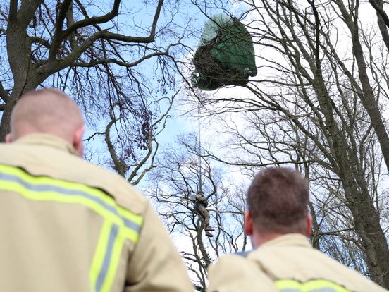 Parachutist vast in boom bij herdenking Spier