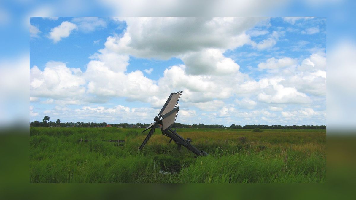Paaltjasker in Houtwiel tussen Feanwâlden en De Falom komt terug