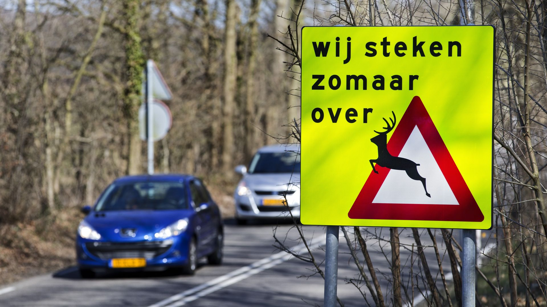 Reeënbronst is begonnen: 'Let op je snelheid'