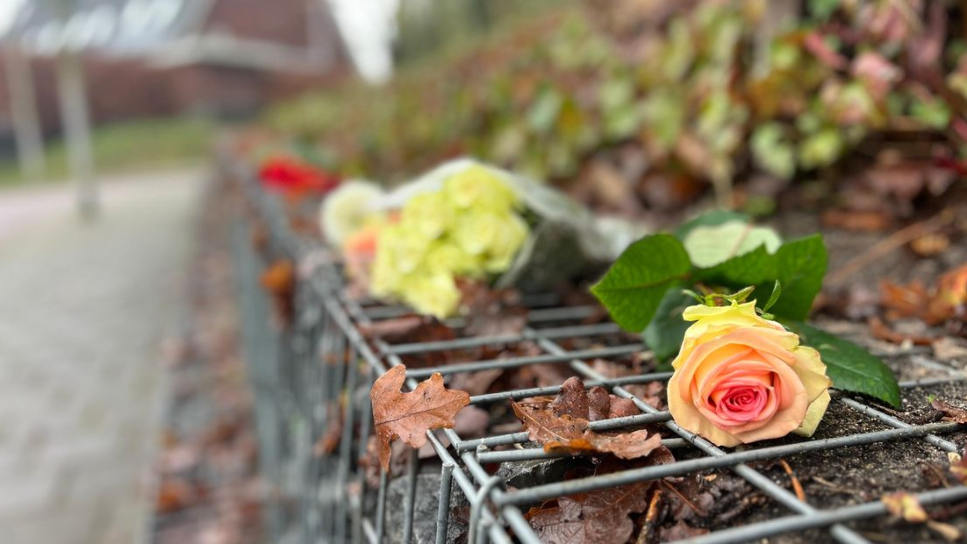 'Knoop in de buik' na rapport over dodelijke steekpartij door patiënt Fivoor