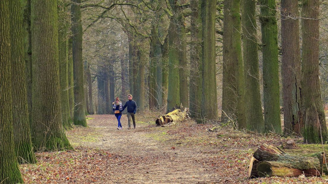 Wandelaars in de buurt van Sint Jansteen.