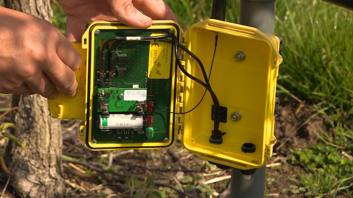 Fruitbedrijf in Wemeldinge is proeftuin voor automatiseren fruitteelt