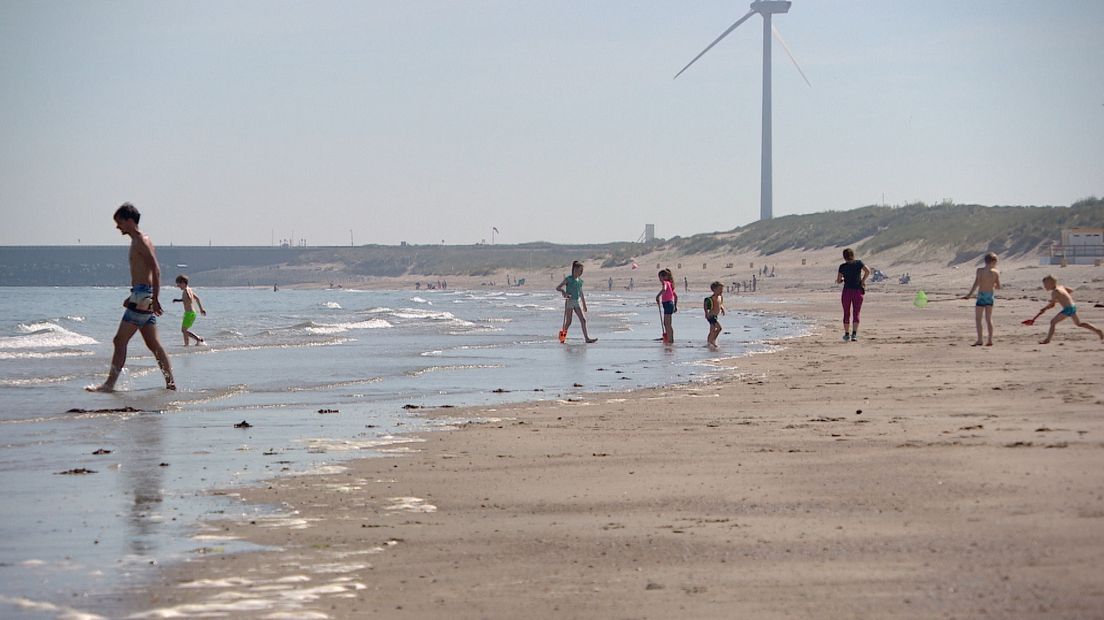 Moet een rif of zandmotor de Zeeuwse stranden redden?