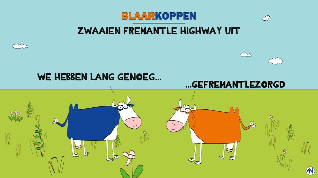 Blaarkoppen