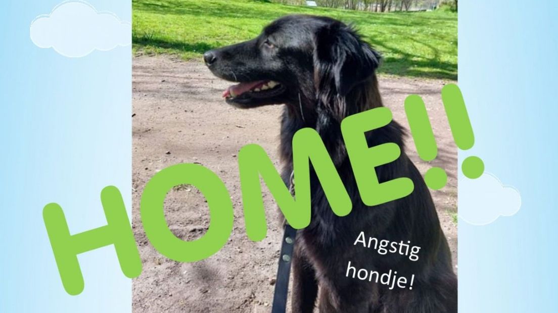 Floor was sinds 16 april vermist