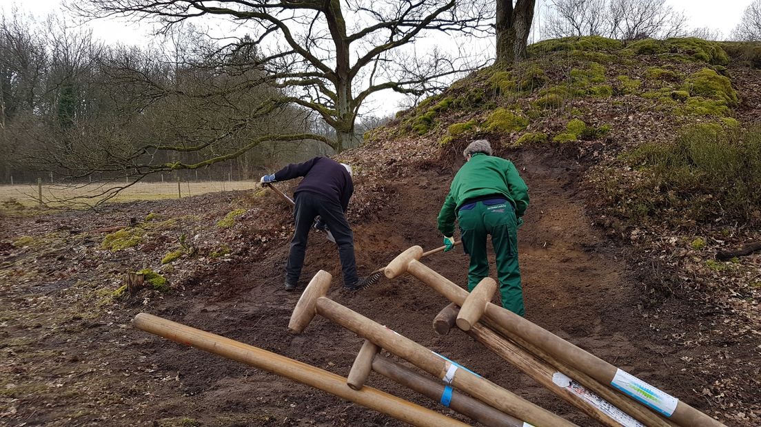 Tijdens NLdoet staken veel vrijwilligers de handen uit de mouwen (Rechten: Tiffany Frasa)