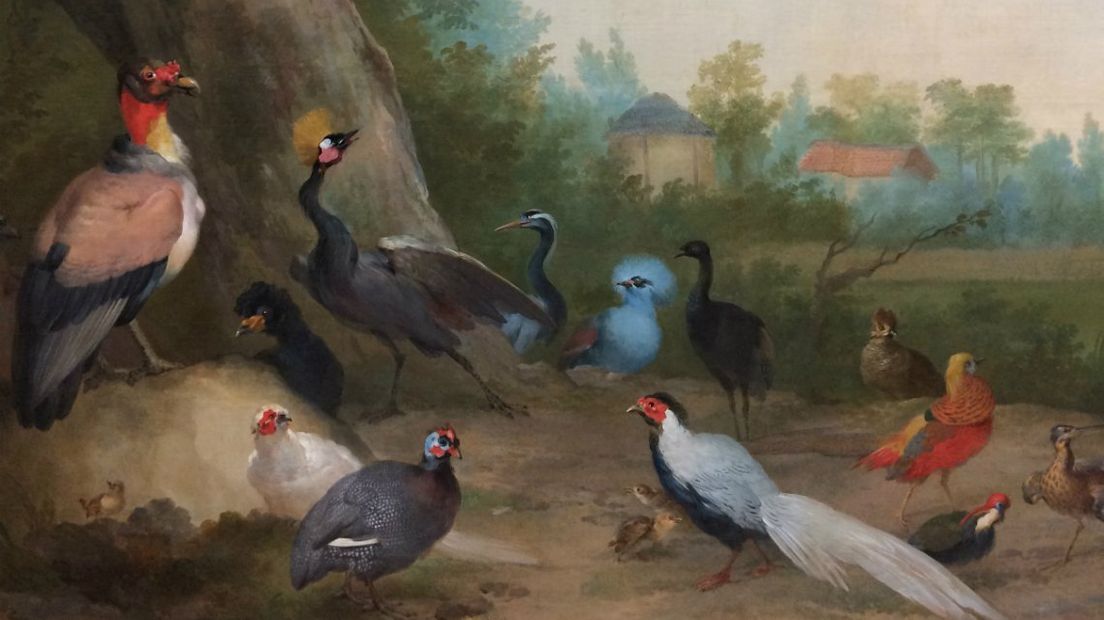 Op de doeken is de verzameling exotische dieren en vogels van prins Willem V uitgebeeld. (Aert Schouman, Koninklijke Verzamelingen, Den Haag).