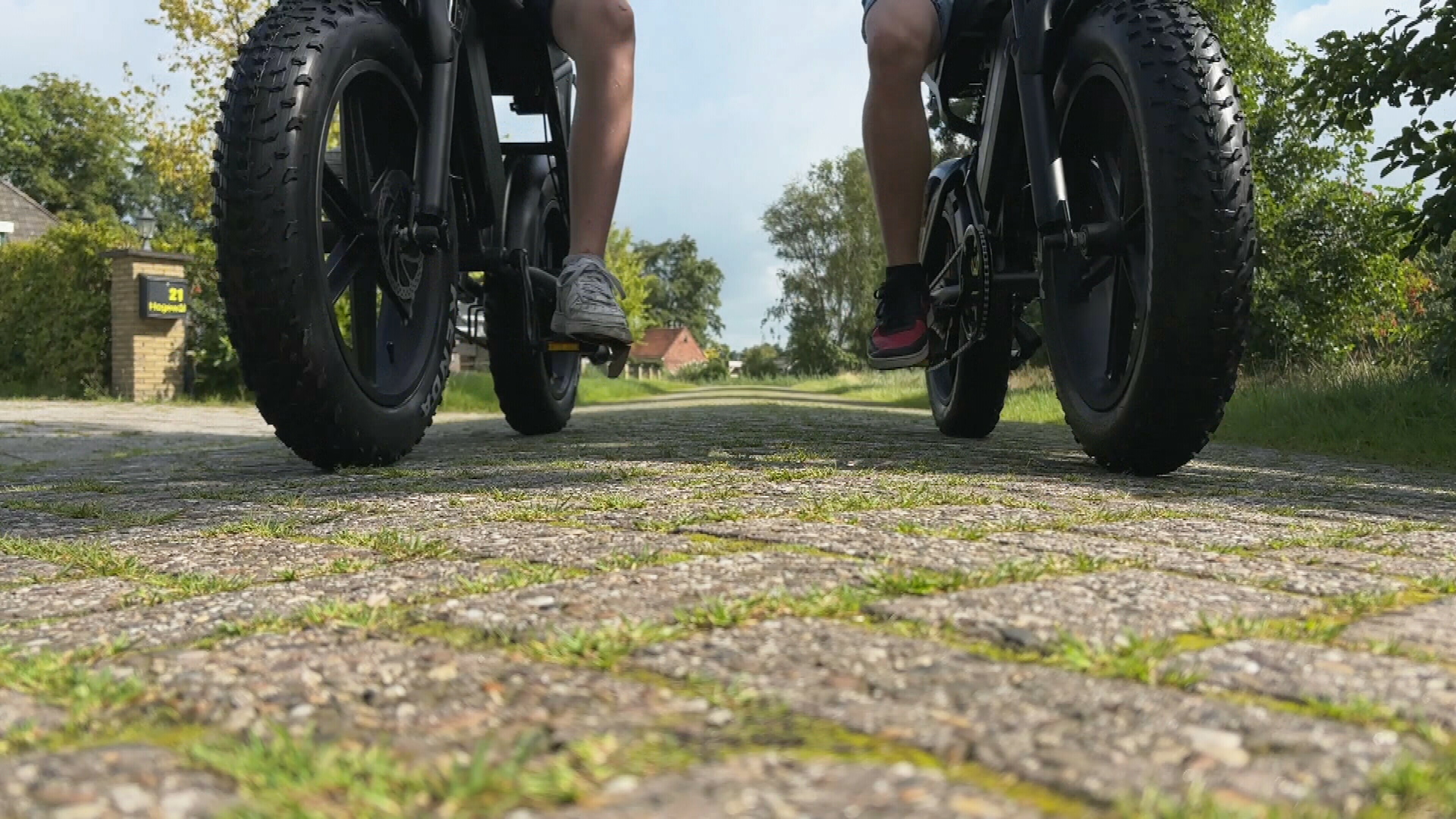 Fatbikes