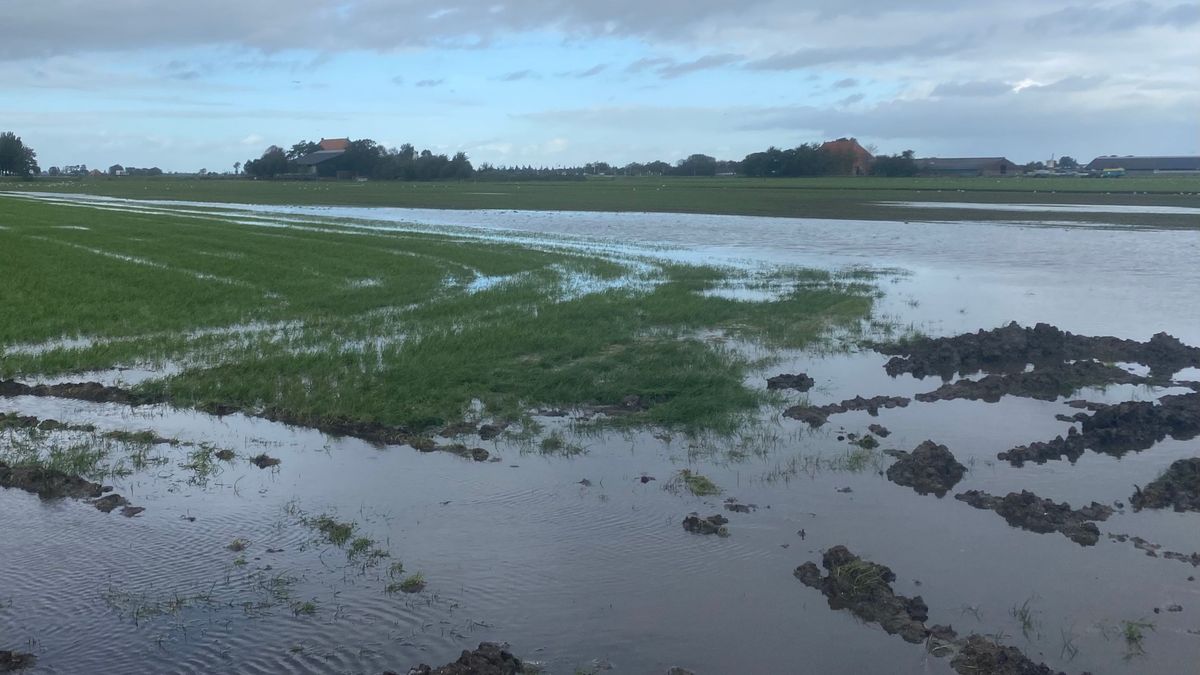 Wateroverlast polder Ypecolsga: 