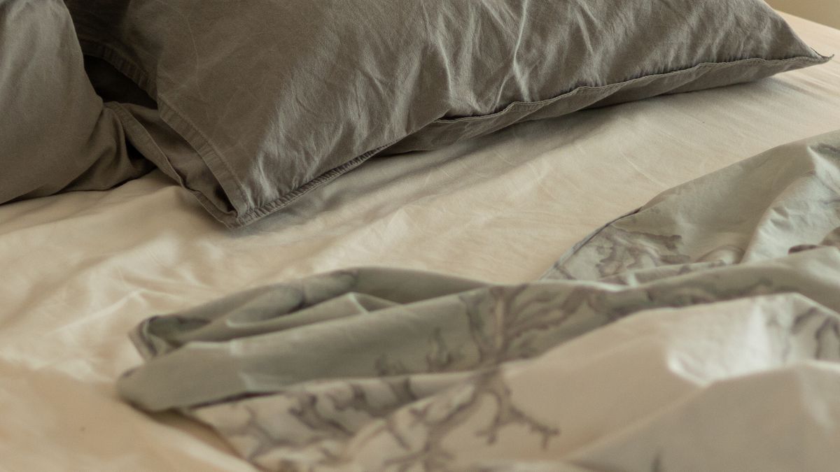 Prostituees vermoedelijk uitgebuit: bij Leger des Heils ondergebracht