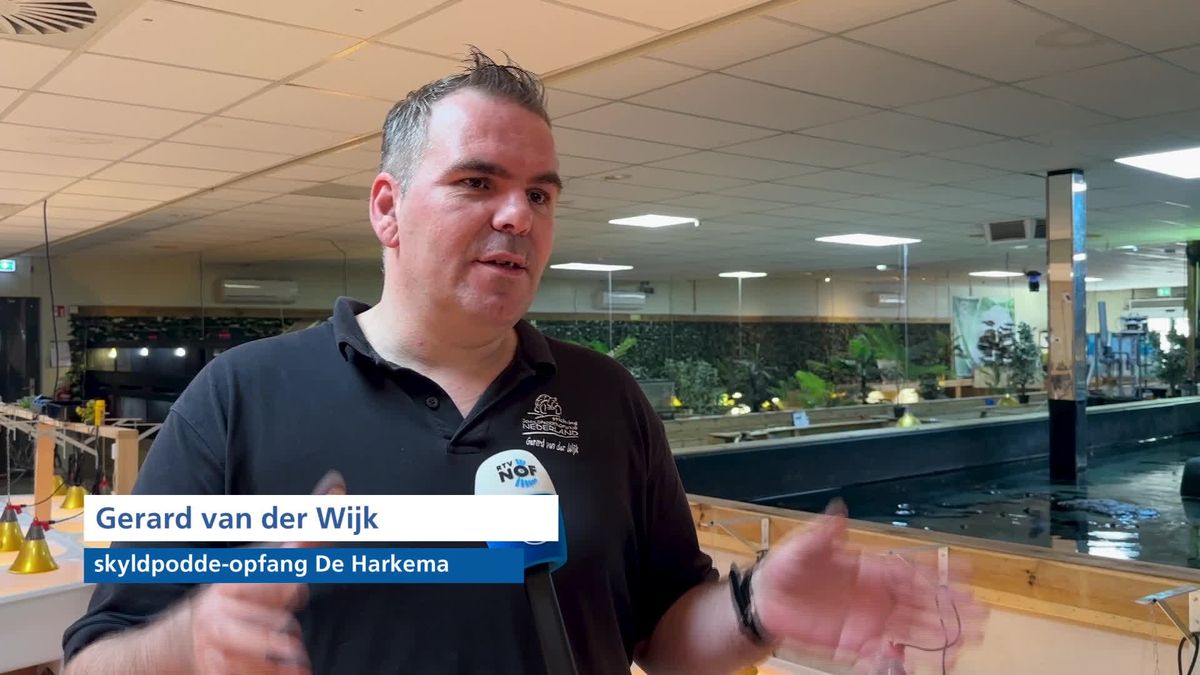 Schildpaddenopvang Twijzelerheide van de baan