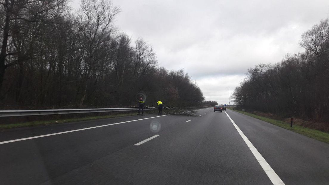 Op de snelweg tussen Hoogeveen en Spier belandde een tak op de weg (Rechten: RTV Drenthe / Erwin Kikkers)