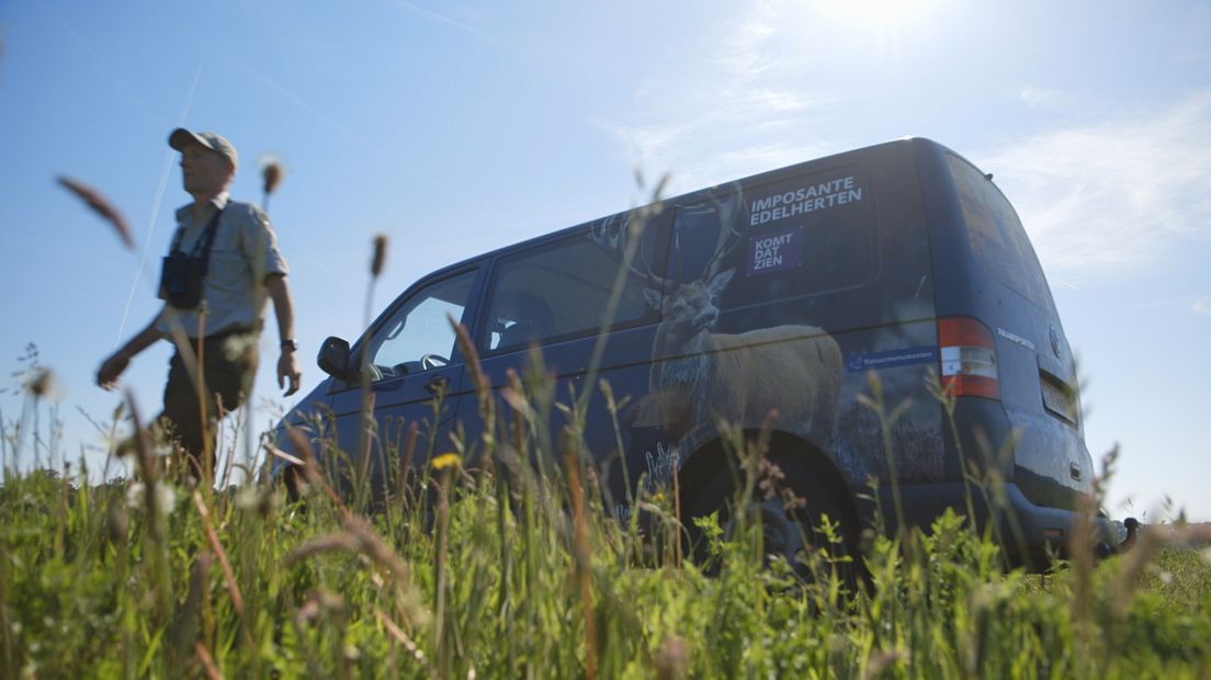 Dertien jaar geleden bewerkte een boer zijn land op de Reijerscamp. Inmiddels grazen er herten in het gebied en zingt de veldleeuwerik er.