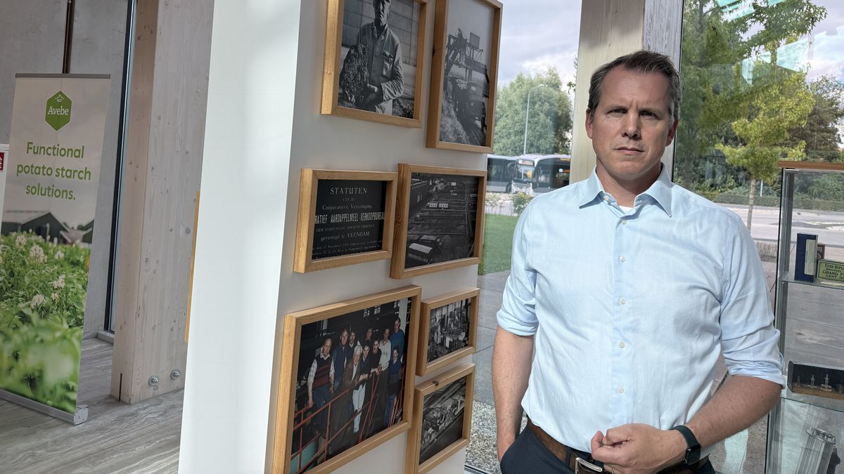 Aardappelverwerker Avebe moet broekriem aanhalen: 'Vacaturestop en minder investeringen'