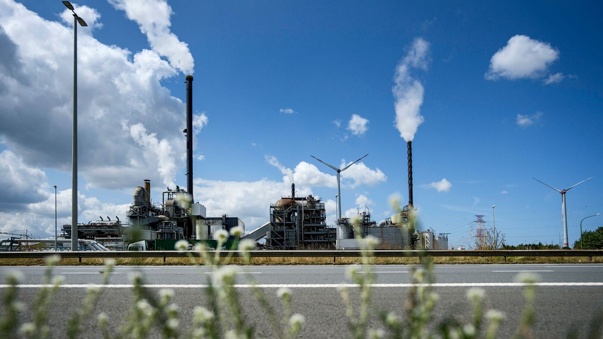 Stichting Gezond Water: 'Provincie Zeeland te laks bij lozingen gif in Vlaanderen en Brabant'