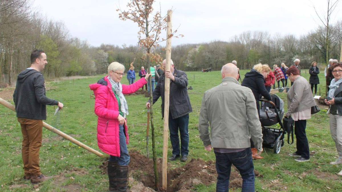 Geboorte- en herdenkingsbossen steeds populairder: wachtlijst in Reuver