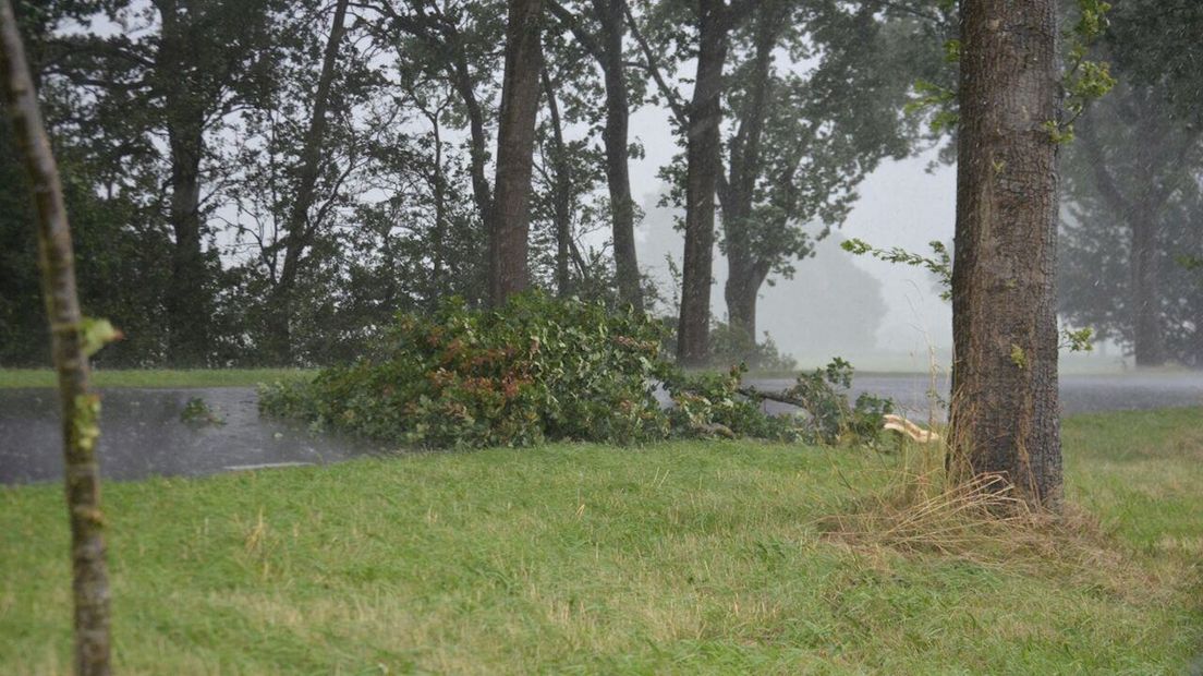 Stormschade in Vriezenveen