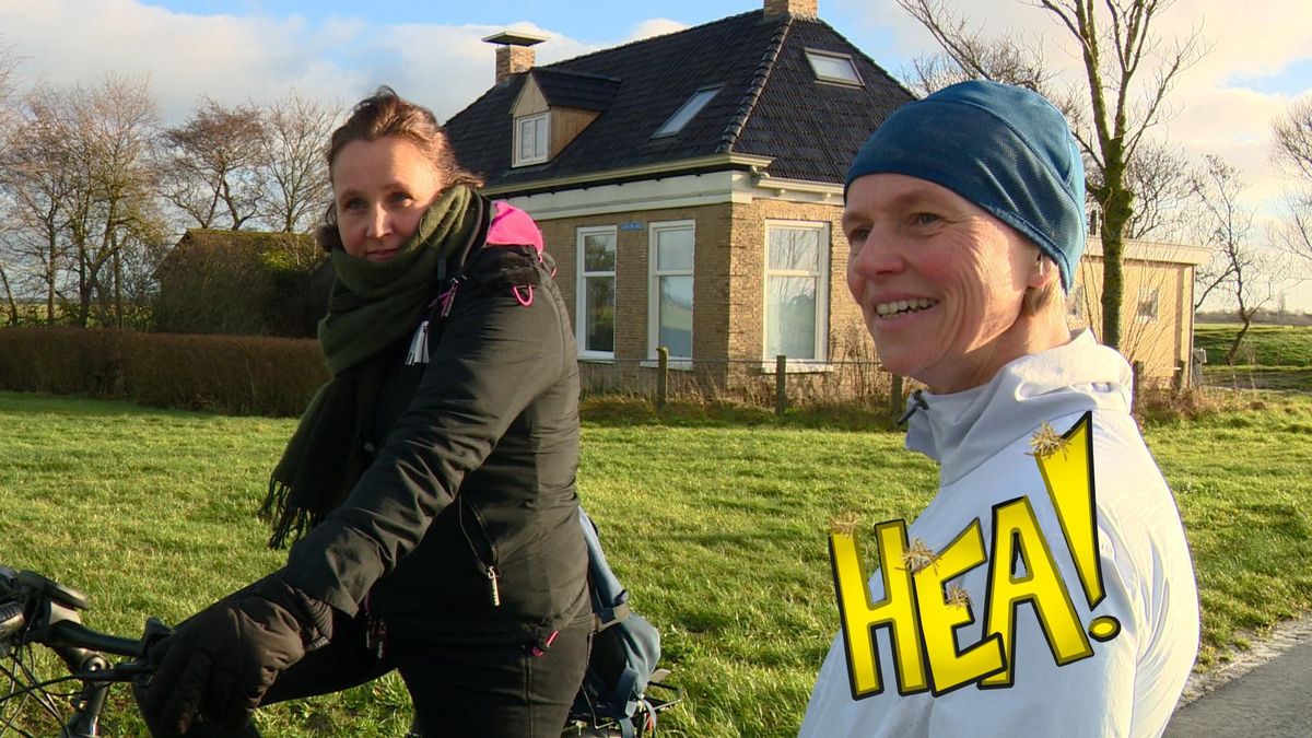 HEA! Vlees op de weg