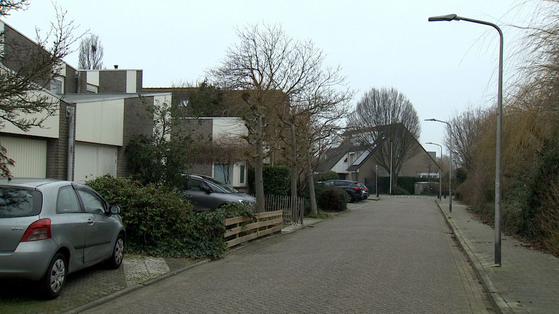 De Peperstraat in Voorhout