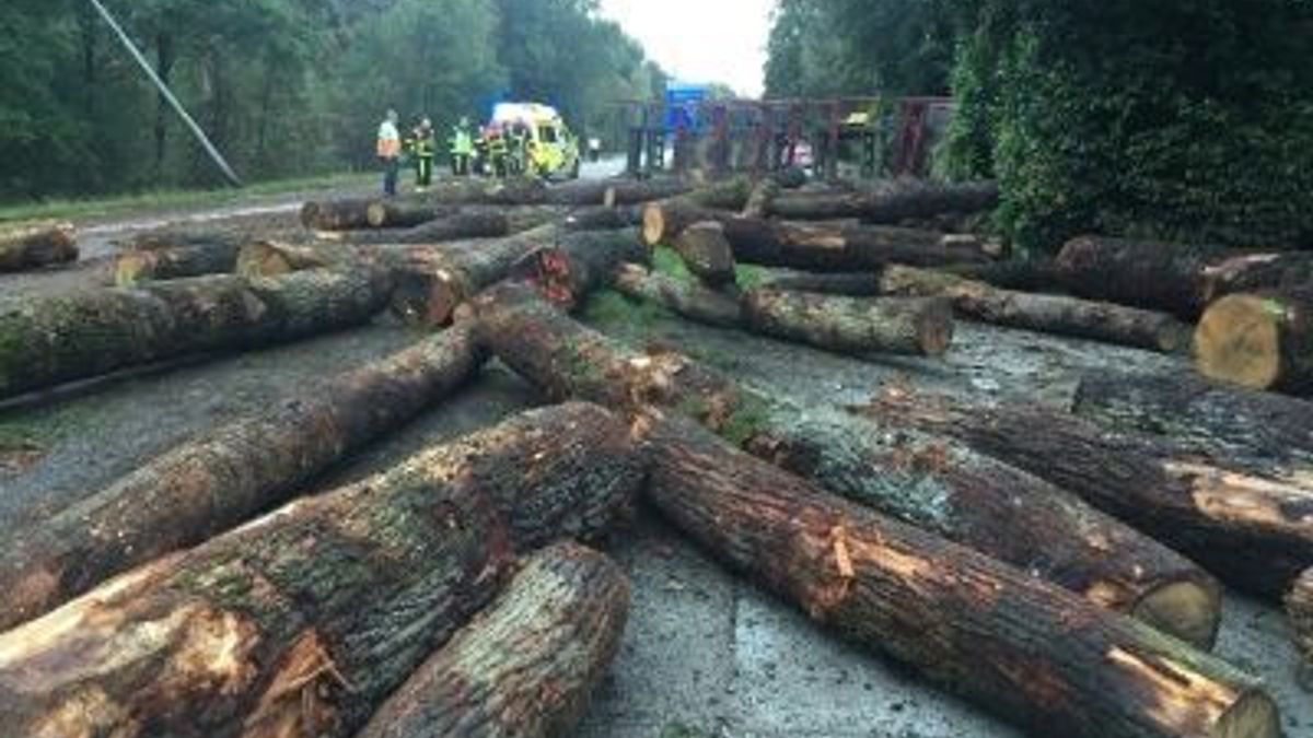 Vrachtwagen met bomen gekanteld op Napoleonsweg Beegden