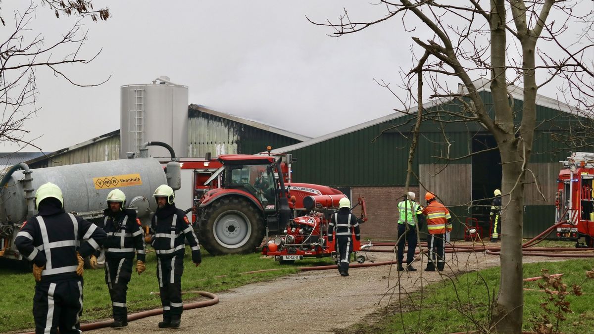 Groot alarm vanwege brand in melkveestal in Wijckel