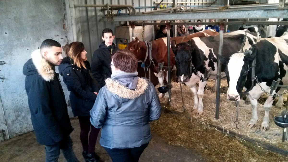 Jongeren uit de Randstad maken kennis met Drents platteland