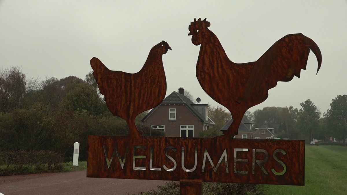 Wereldberoemde Welsumer kippen krijgen prominente plek langs de weg