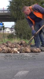 Vrachtwagen verliest bieten