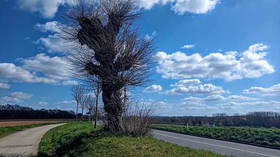 De winter lijkt voorbij: zonnige start van de meteorologische lente Nieuws