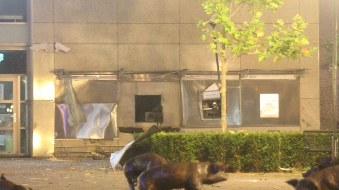 Onbekenden hebben in de nacht van donderdag op vrijdag een plofkraak gepleegd op de Rabobank in Twello. Niemand is gewond geraakt.