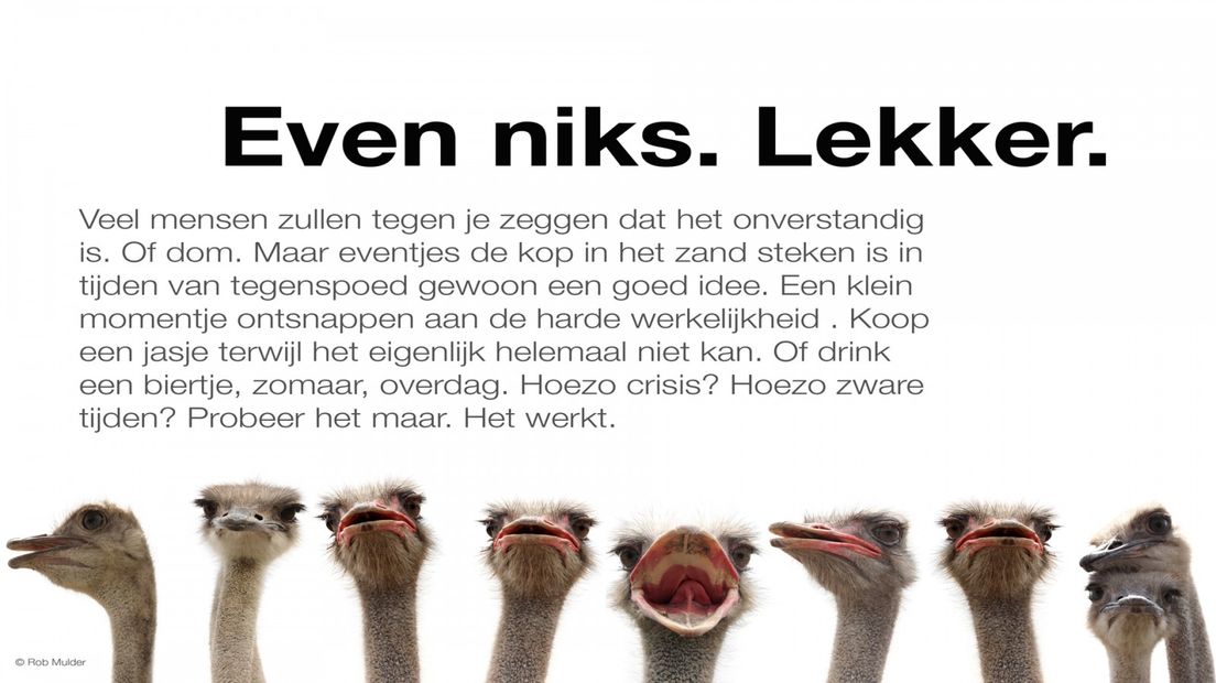 Crisistip 1.