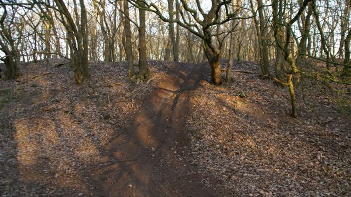 Opnieuw motorcrossers over dassenburcht Wapserveen