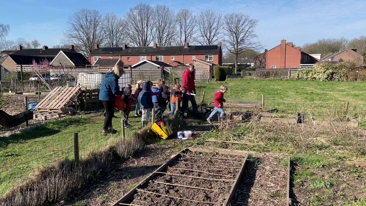 Het is buitenlesdag, 50 jaar geleden werd in Wilhelminaoord al buitenles gegeven aan Haagse kinderen