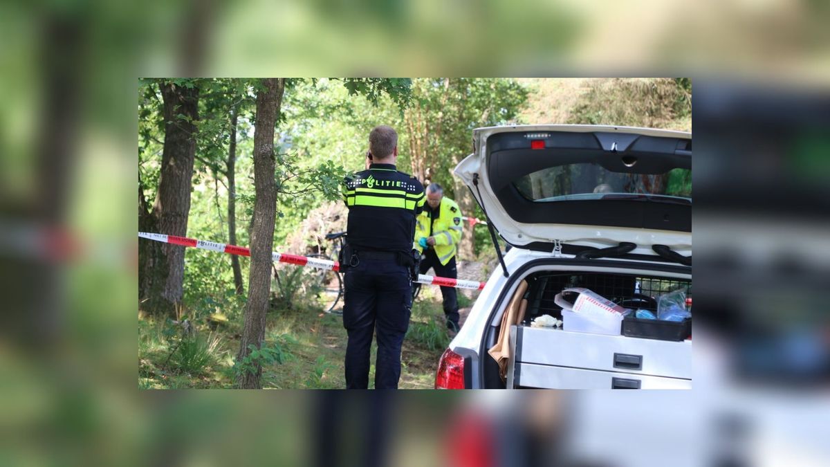 UPDATE: Man (55) uit Boornbergum overleden na ongeluk met fiets in bos Beetsterzwaag