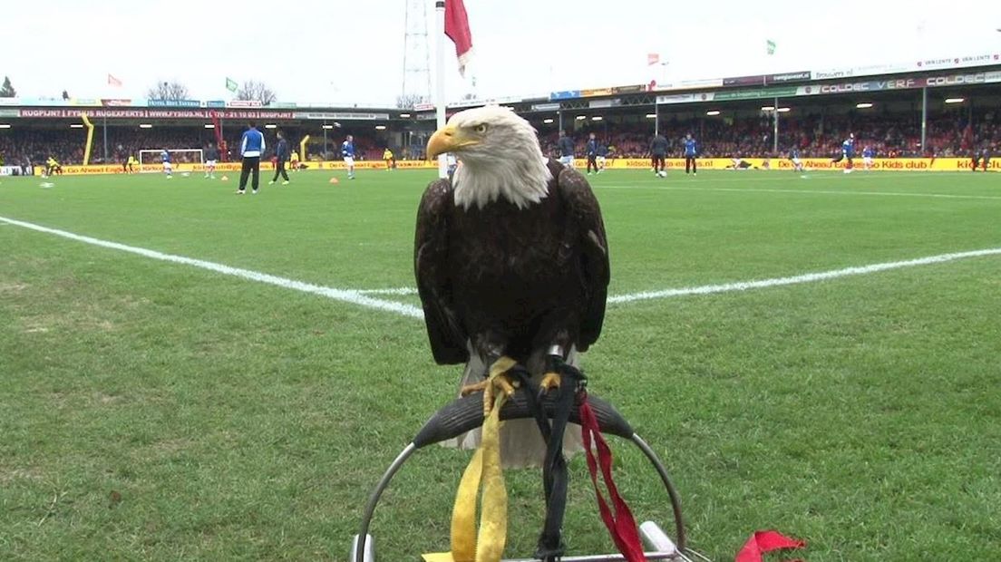 Zeearend Harley (Go Ahead Eagles)