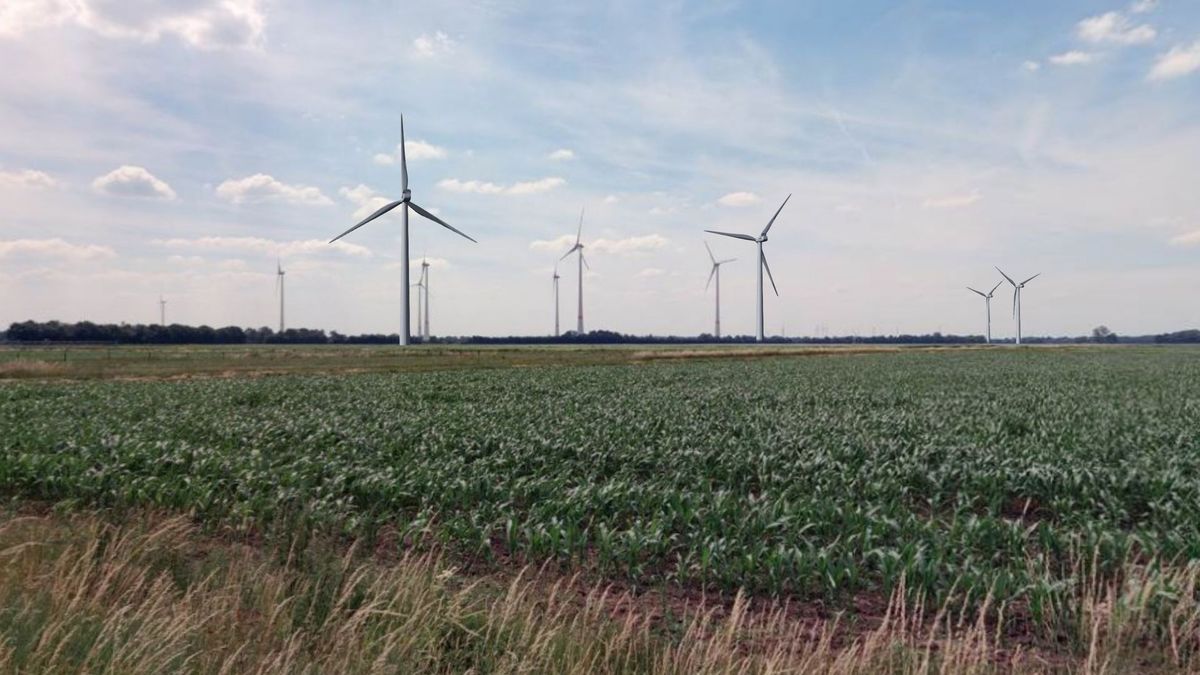 Windmolens in Windpark Weijerswold worden ruim 180 meter hoog