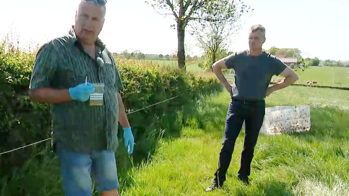 L1mburg Centraal: DNA-onderzoek kijkt of wolf kalf doodbeet in Noorbeek